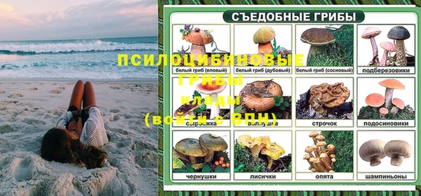 гидра Армянск