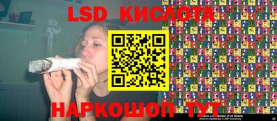 молекула духа Донецк