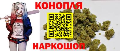 молекула духа Донецк