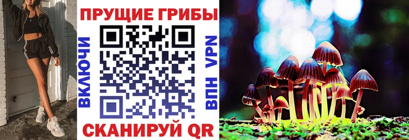 Галлюциногенные грибы прущие грибы  Лесной 