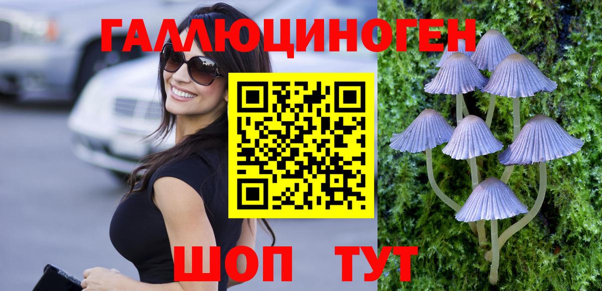 Псилоцибиновые грибы мицелий Лесной